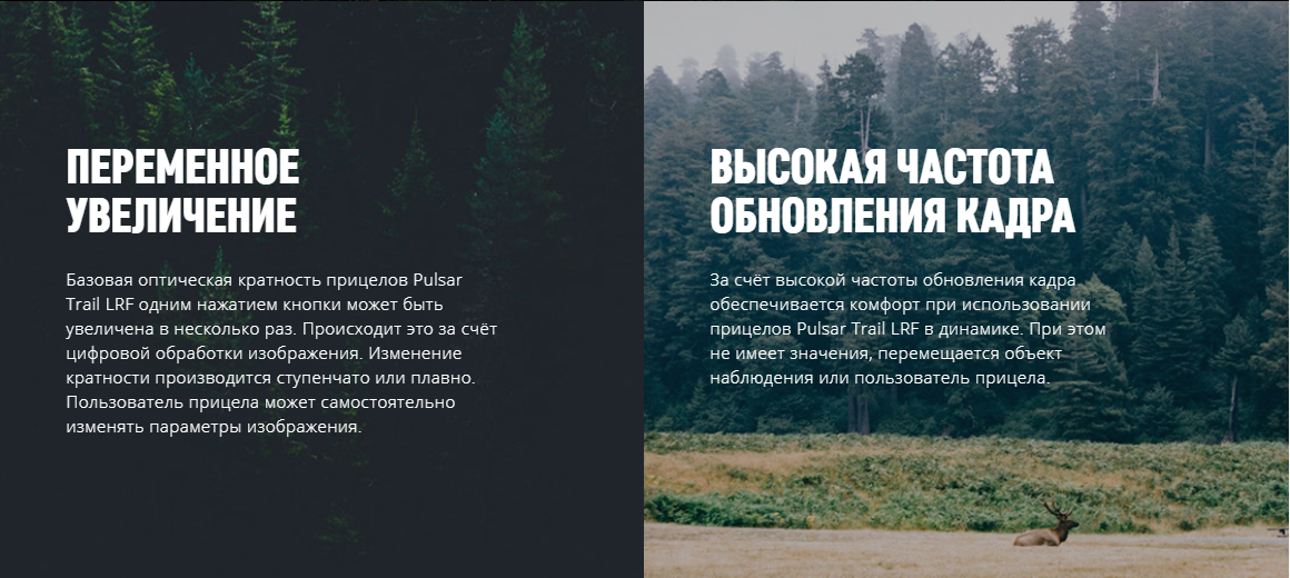 изображение через дисплей прицела Trail 2 LRF